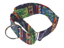Dog collars, greyhound collars, martingale, Shore dog walker, cool dog, tropical, tie dye, seasonal, rainbow flag, saint Patrick, Halloween, Christmas, easter 