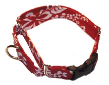 Dog collars, greyhound collars, martingale, Shore dog walker, cool dog, tropical, tie dye, seasonal, rainbow flag, saint Patrick, Halloween, Christmas, easter 